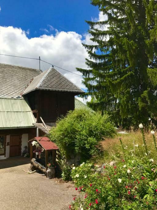 Echtes Schwarzwaldhaus - Traditionell & Modern Bernau im Schwarzwald Ngoại thất bức ảnh