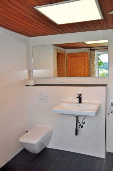Echtes Schwarzwaldhaus - Traditionell & Modern Bernau im Schwarzwald Ngoại thất bức ảnh