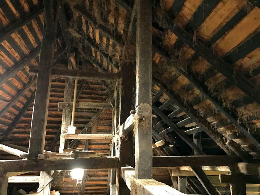 Echtes Schwarzwaldhaus - Traditionell & Modern Bernau im Schwarzwald Ngoại thất bức ảnh